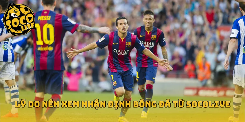 Lý do nên xem nhận định bóng đá từ Socolive