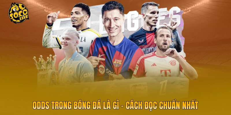Odds Trong Bóng Đá Là Gì