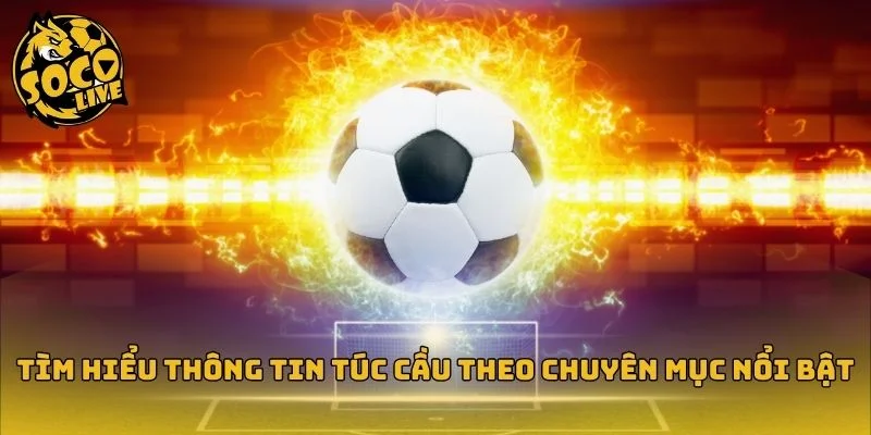 Dễ dàng theo dõi tin tức qua các chuyên mục nổi bật