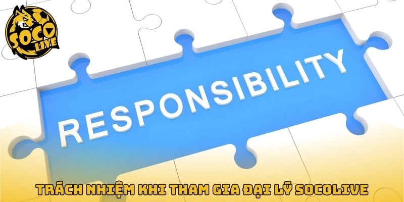 Trách nhiệm khi tham gia đại lý Socolive